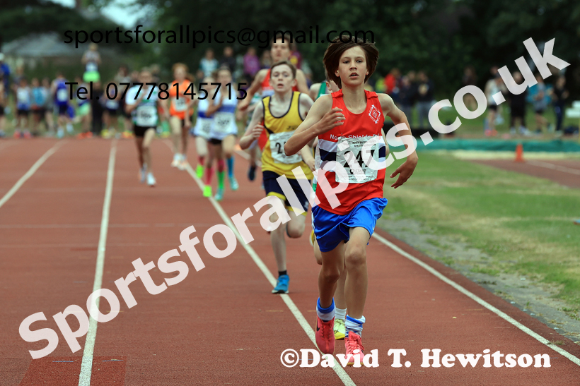 800 metres, 2026 NEGP No. 4, Monkton. Photo: David T. Hewitson/Sports for All Pics